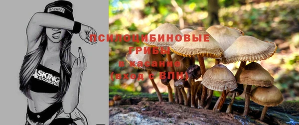 мяу мяу мука Остров