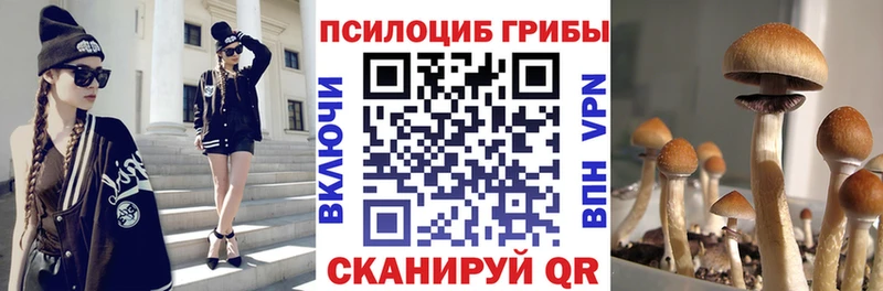 Псилоцибиновые грибы мицелий  нарко площадка формула  Мыски  ссылка на мегу маркетплейс 