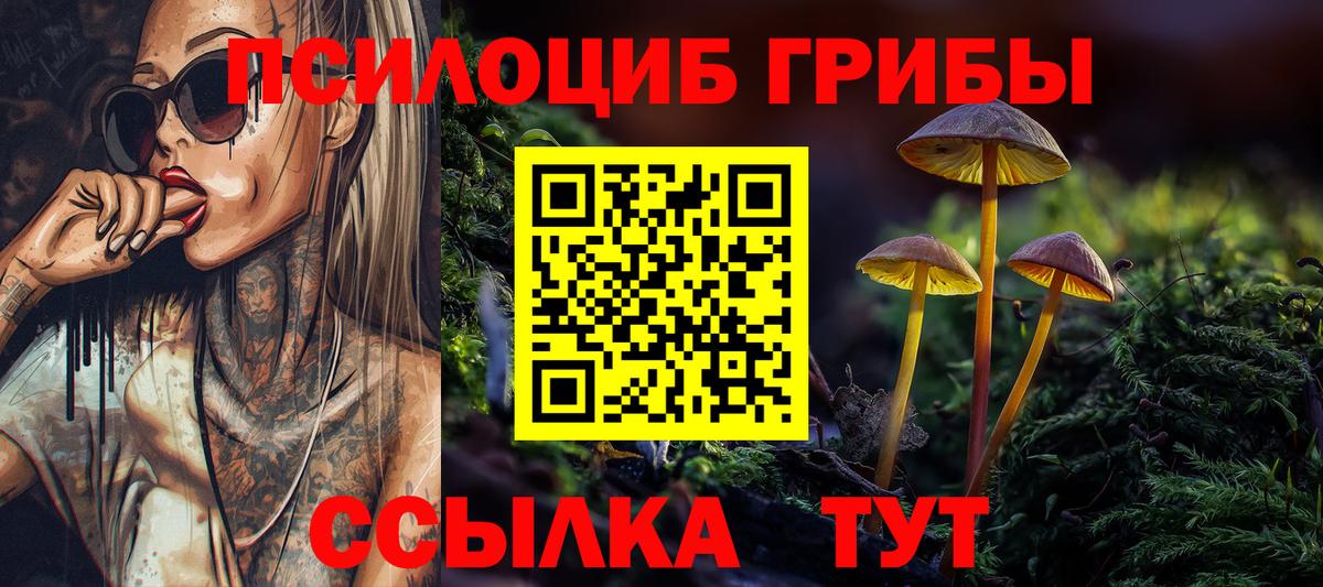 Псилоцибиновые грибы прущие грибы  магазин продажи наркотиков  Мыски  Вход с VPN  Псилоцибиновые грибы ЛСД 